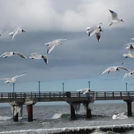 Victoria * Zingst